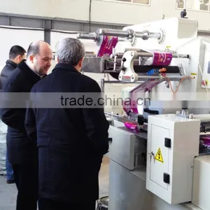 Biscuits on Edge Packaging Machine thumbnail-6