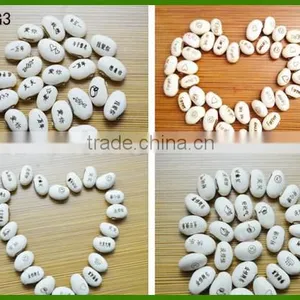 White Magic Message Beans Wish Beans Blessing Beans thumbnail-1
