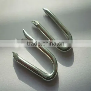 Barbed U-shape Nails/Square Bottom U Shaped Nail (ISO9001) Quality Choice thumbnail-1