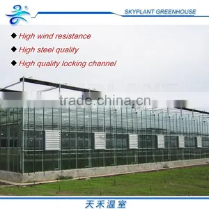 Horticultural Glass Greenhouse Multi-span Glass Greenhouse thumbnail-1