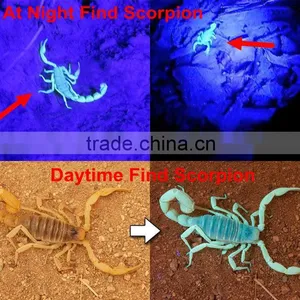 Powerful UV Flashlight 100 LED UV Flashlight For Hunting thumbnail-5