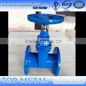 Competitive Price bs 5163 Ductile Iron Gate Valve Quality Choice thumbnail-3