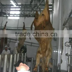 50 Cattle Cow Beef Halal Type Slaughter Line Equipment thumbnail-3