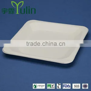PL-08-S 8.25 Inches Different Shapes Disposable Flate Square Shape Sugarcane Dinner Plates thumbnail-1