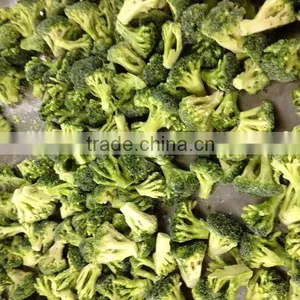 Hot Sell Frozen Fresh Broccoli Cut thumbnail-2