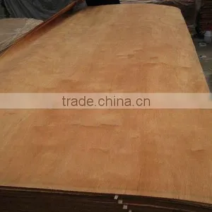 Poplar Veneer in Good Quality thumbnail-2