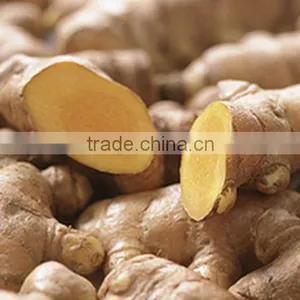 China Dry Ginger Export to Many Countries thumbnail-1