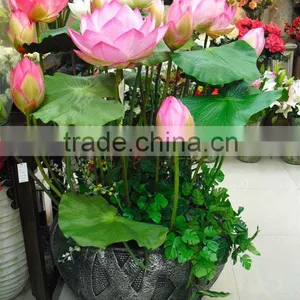 Artificial Lotus Flower YL310 thumbnail-1
