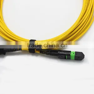 High Quality SM MTP 12 Cores Patch Cord From Factory thumbnail-3