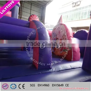 Best Quality Inflatable Funcity for Kids/inflatable Bouncer/4 Line Stitching thumbnail-4