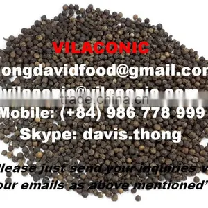 BLACK PEPPER POWDER (skype: Davis.thong, Mobile: +84 986 778 999) thumbnail-2