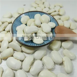 White Kidney Bean thumbnail-1