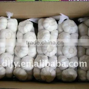 Fresh Garlic 2011 thumbnail-1