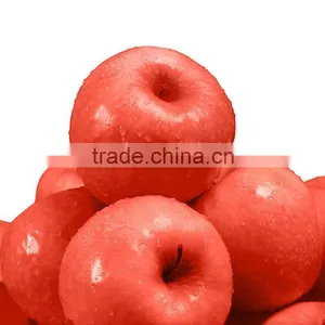 Big Fuji Apple thumbnail-1