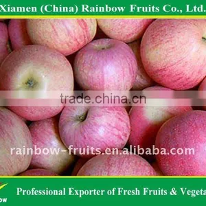 Shanxi Qinguan Apple thumbnail-1