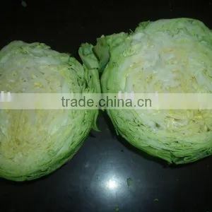 1.5kg Fresh Green Round Cabbage thumbnail-1