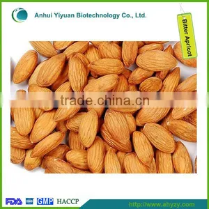 Bitter Apricot Kernel/Sweet Apricot Kernel thumbnail-4