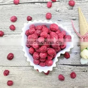 Freeze Dried Crunchy Cranberry Whole thumbnail-4