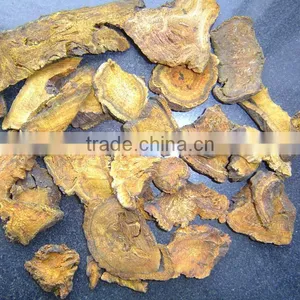 Chinese Rhubarb Root Slices thumbnail-2