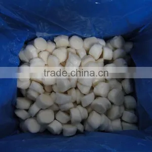 Frozen Sea Scallop Meat thumbnail-2