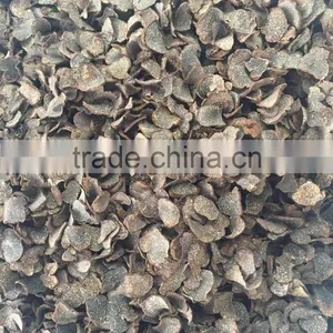 Dried Black Truffles thumbnail-1