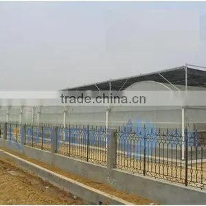 Plastic Film Greenhouse thumbnail-1