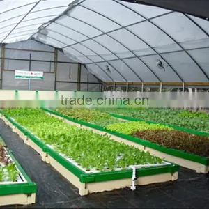 Searea Greenhouse Plastic Seed Tray for Greenhouse Hydroponic Lettuce thumbnail-1