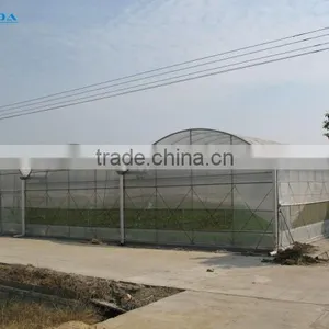 Multi-span pe Film Green House Tomato Green House Pepper Greenhouse thumbnail-3