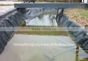 HDPE Geomembrane HDPE Sheet thumbnail-1