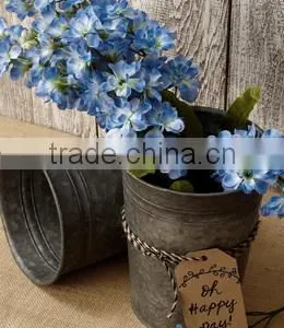 Galvanized Garden Zinc Planter | Metal Planter thumbnail-1