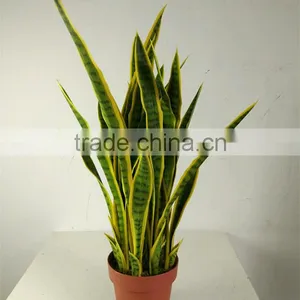 Guangzhou Shengjie Artificial Bonsai Agave Plant Indoor Decoration thumbnail-1