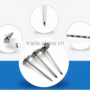High Quality Roofing Nail From China Manufacturer thumbnail-1