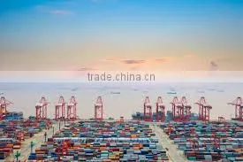 Cheap LCL Sea /ocean Freight Service to Singapore Door to Door Delivery From Vietnam thumbnail-1