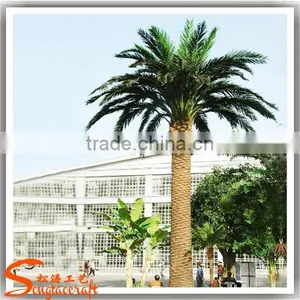 2015 Wholesale Artificial Outdoor Palm Trees Plastic Decorative Metal Palm Tree Palm Trees thumbnail-1