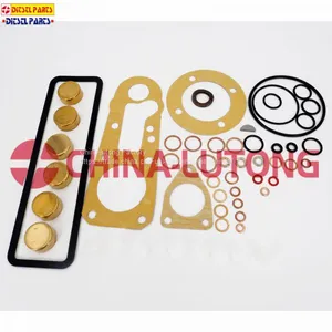 Fuel Injection Parts 1 417 010 010 Repair Kit 800033 For Pump thumbnail-1