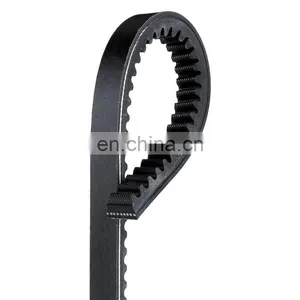 178691 Belt thumbnail-1