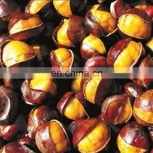 China Factory Supply Food Organic Peeled Roasted Chestnuts thumbnail-2