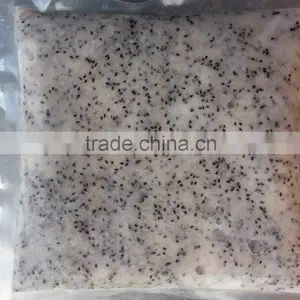 Vietnam High Quality White Frozen Dragon Fruit Puree/ Pink Pitaya thumbnail-1