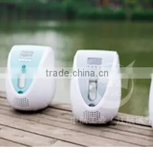 Portable Oxygen Concentrator Generator 90% Purity 1L/min 24Hr thumbnail-3