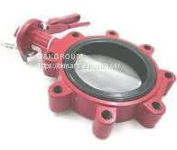 Bray Butterfly Valve thumbnail-1