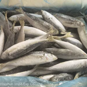 Frozen Horse Mackerel With Small Eyes; Round Scad thumbnail-2