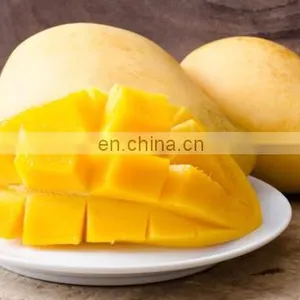 100% NATURAL FOR HEALTH FRESH MANGO WITH GOOD QUALITY MADE IN VIET NAM thumbnail-4
