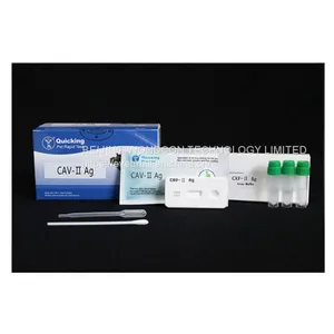 CAV-II Ag Rapid Test thumbnail-1
