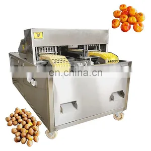 Runxiang Hot Selling Cheap Oli Olive Longan Lychee Apple Date Pitter thumbnail-4