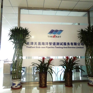 Tianjin TimEast Sub-sea Pipeline Testing And Service Limited company overview - view 1 thumbnail