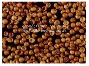 China Supplier of Premiun Grade of Artemia Cysts Brine Shrimp Egg Bohai Bay Eggs for Fish and Shrimp thumbnail-4