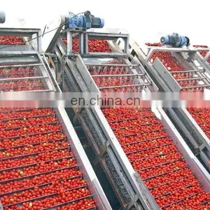 Genyond Ground Peeled Tomatoes Marinara Sauce in Food Processing Field thumbnail-2