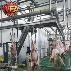 High-efficiency Goat Slaughter Machinery Complete SetTurnkey Abattoir Solution for Small Sheep Processing Plants thumbnail-1