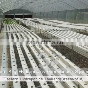 Hydroponics Greenhouse thumbnail-3