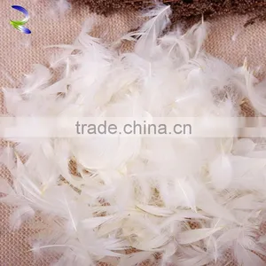 Best Selling Wholesale Washed White Goose Feather thumbnail-1